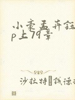 小豪孟卉钰慧三p上79章封面