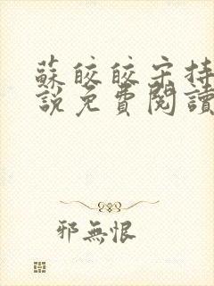 苏皎皎宋持的小说免费阅读