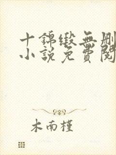 十锦缎无删原著小说免费阅读