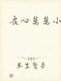 夜心万万小说
