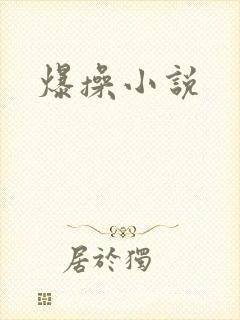 爆操小说