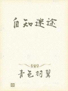自知迷途封面