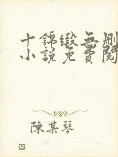 十锦缎无删原著小说免费阅读封面