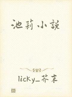 池莉小说