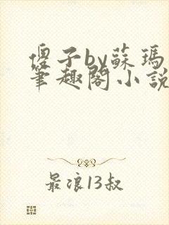 傻子by苏玛丽笔趣阁小说封面