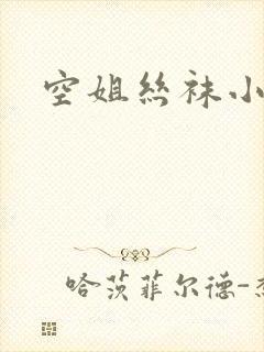 空姐丝袜小说封面