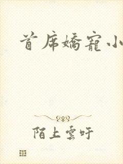 首席娇宠小情人