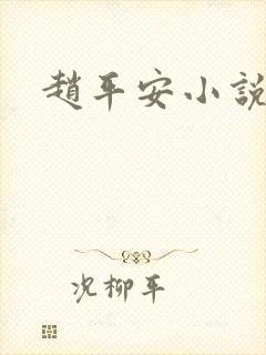 赵平安小说主角封面