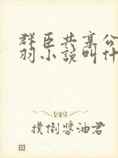 群臣共享公主银羽小说叫什么