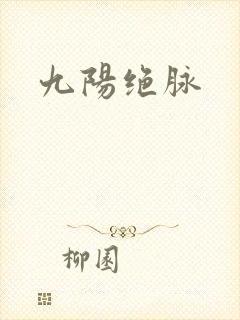 九阳绝脉封面