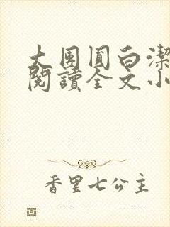 大团圆白洁免费阅读全文小说