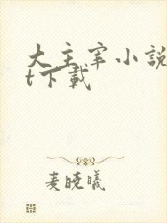 大主宰小说txt下载