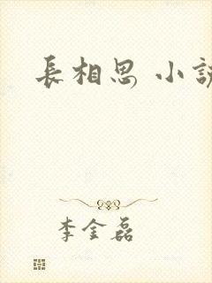 长相思 小说