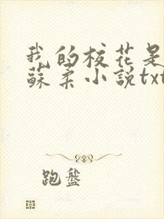 我的校花是福姬苏柔小说txt