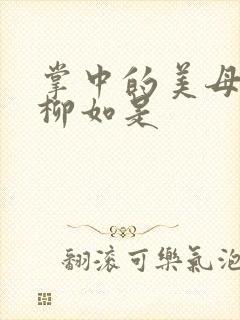 掌中的美母版主柳如是封面