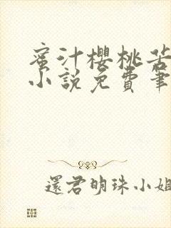 蜜汁樱桃苦咖啡小说免费笔趣阁封面