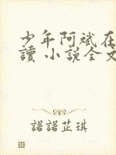 少年阿斌在线阅读 小说全文免费
