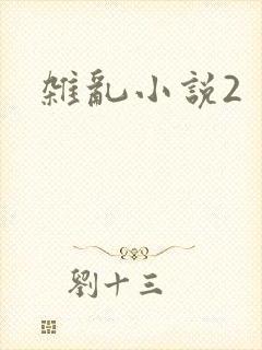 杂乱小说2