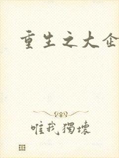 重生之大企业家