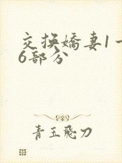 交换娇妻1一36部分