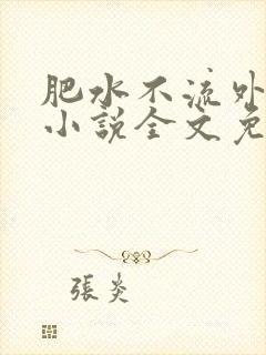肥水不流外人田小说全文免费阅读1封面