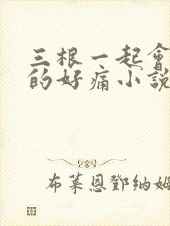 三根一起会坏掉的好痛小说