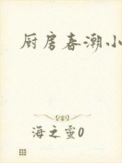 厨房春潮小说封面