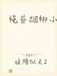 绳艺捆绑小说封面