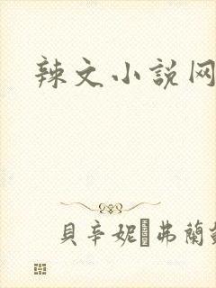 辣文小说网