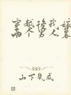 穿越后我嫁给了两个男人暮色酒歌