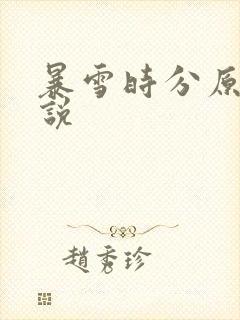 暴雪时分原著小说