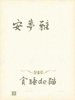 安梦雅封面