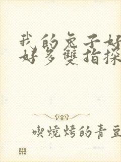 我的兔子好软水好多双指探洞小说