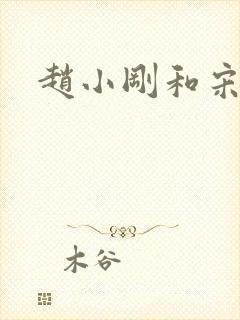 赵小刚和宋雨晴