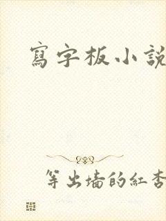 写字板小说
