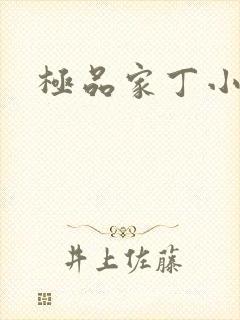 极品家丁小说