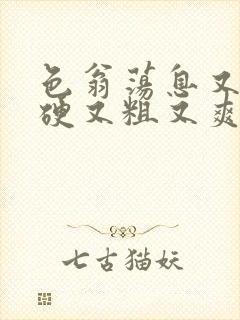 色翁荡息又大又硬又粗又爽电影