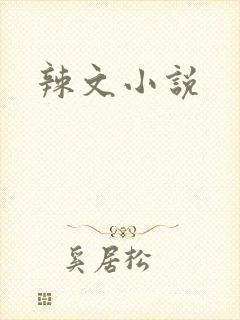 辣文小说