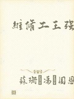 维修工王强张婷