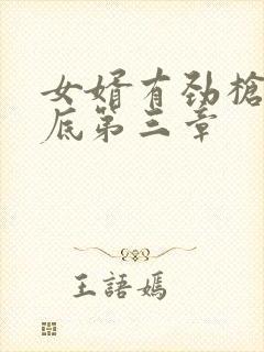 女婿有劲枪枪到底第三章