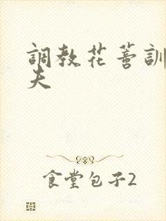 调教花蒂训诫从夫