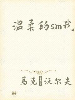 温柔的sm我