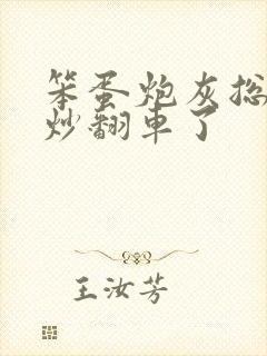 笨蛋炮灰总被爆炒翻车了