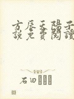 方辰天阳子的小说免费阅读