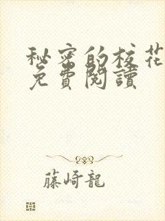 秘密的校花小说免费阅读封面