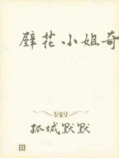 壁花小姐奇遇记