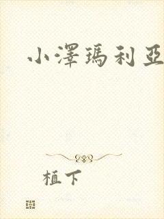 小泽玛利亚作品封面