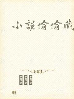 小说偷偷藏不住