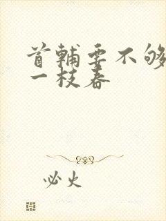 首辅要不够po一枝春