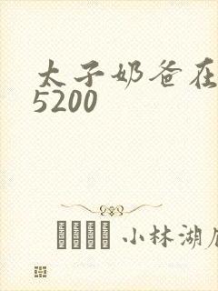 太子奶爸在花都5200封面